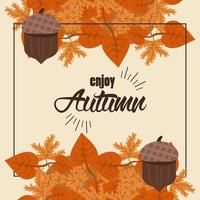 Genießen Sie Herbst Schriftzug mit Blättern und Nüssen quadratischen Rahmen vektor