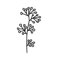 Vektor Winter Kraut mit Beeren Illustration. Hand gezeichnet Gekritzel Pflanze mit Beeren