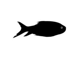 catla eller katla fisk, också känd som de större söder asiatisk karp, silhuett för ikon, symbol, logotyp typ, piktogram, appar, hemsida eller grafisk design element. vektor illustration