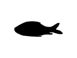 catla eller katla fisk, också känd som de större söder asiatisk karp, silhuett för ikon, symbol, logotyp typ, piktogram, appar, hemsida eller grafisk design element. vektor illustration