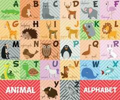 süß Karikatur Zoo illustriert Alphabet mit komisch Tiere. Englisch Alphabet. lernen zu lesen. isoliert Vektor Illustration.