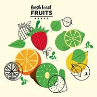 färska lokala frukter bokstäver och gruppfrukter vektor