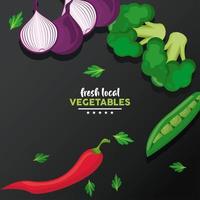 lokala färska grönsaker bokstäver med bakgrund svart vektor