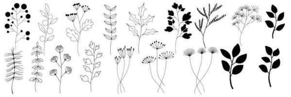 mycket liten växtsand blommor, uppsättning av söt linjär hand dragen botanisk illustrationer vektor