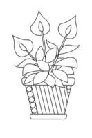 Hem blommor dekorativ hus växter i kastruller färgrik botanisk illustrationer vas med växter linje konst vektor