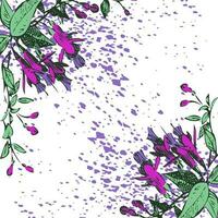 bukett av fuchsia blommor på vit bakgrund. konstnärlig botanisk vektor illustration. blommig trendig mönster ram, grafisk design med vattenfärg stänka ner. lila grön färger