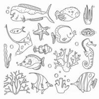 Sea Life Doodle Set fisches und Korallensammlung Hand ertrinken Unterwasserelemente in niedlichen Stil vektor