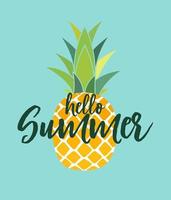 Hallo Sommer Konzept tropische Frucht Ananas Symbol Symbol Design vektor