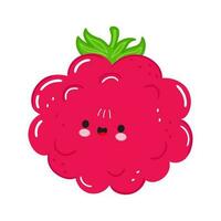 süß komisch Himbeeren Charakter. Vektor Hand gezeichnet Karikatur kawaii Charakter Illustration Symbol. isoliert auf Weiß Hintergrund. Himbeeren Charakter Konzept