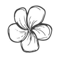 blomma ikon. hand dragen enkel svart översikt vektor illustration klämma konst i klotter stil, isolerat på vit bakgrund
