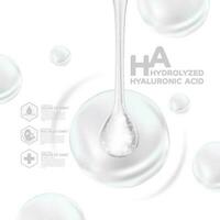 hydrolysiert hyaluronic Acid Serum Haut Pflege kosmetisch vektor