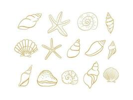 uppsättning av marin liv conch, hav skal, sjöstjärna vektor