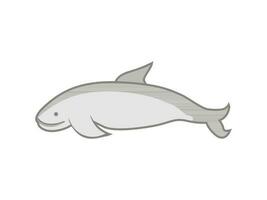 delfin isolerat på vit bakgrund vektor