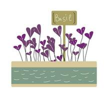 Basilikum Microgreens im ein Container. gesund vegan Lebensmittel. Vektor einstellen Illustration im Gekritzel Stil