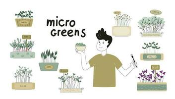 Microgreens im ein Container. gesund vegan Lebensmittel. Vektor einstellen Illustration im Gekritzel Stil