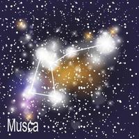 musca konstellation med vackra ljusa stjärnor på bakgrunden av kosmisk himmel vektorillustration vektor