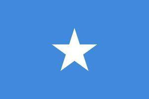 Flagge der Somalia-Inseln, offizielle Farben und Proportionen. Vektor-Illustration. vektor