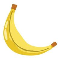 banan frukt isolerat ikon design vektor