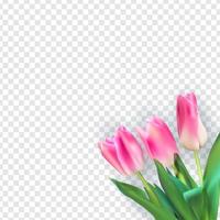 realistische Vektorillustration bunte Tulpen vektor