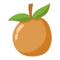 Orange Obst isoliert Symbol Design vektor