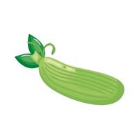Zucchini gesundes Gemüse detaillierte Stilikone vektor