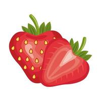 jordgubbar färsk läcker frukt detaljerad stilikon vektor
