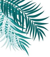 schöne Palme verlässt Silhouette Hintergrundvektorillustration vektor