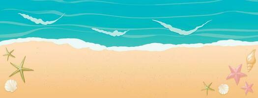 Vektor Karikatur horizontal Hintergrund mit Gradient. oben Aussicht von das sonnig Strand durch das Meer oder Ozean. sonnig Landschaft. Muscheln von anders Formen und Seestern auf das Sand. Ferien Dekoration