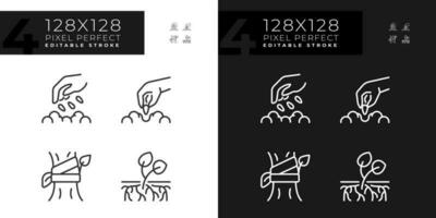 wachsend Pflanzen linear Symbole einstellen zum dunkel, Licht Modus. organisch Gartenarbeit. Samen Keimung. Gartenbau Landwirtschaft. dünn Linie Symbole zum Nacht, Tag Thema. isoliert Illustrationen. editierbar Schlaganfall vektor