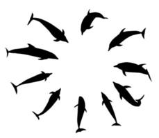 Set von schwarzen Delfinen in verschiedenen Varianten. springen, fliegen, schwimmen und tauchen vektor