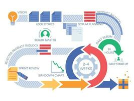Gedränge agil Prozess Infografik. Projekt Verwaltung Diagramm, Projekte Methodik und Entwicklung Mannschaft Arbeitsablauf Vektor Illustration