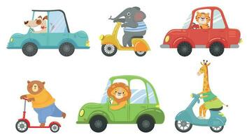 süß Tiere auf Transport. Tier auf Roller, Fahren Auto und Zoo Reise Karikatur Vektor Illustration einstellen