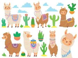 Karikatur Mexikaner Alpaka. komisch Lamas, Karikatur süß Tier und Lama mit Wüste Kaktus Vektor einstellen