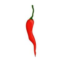 närbild kyligt peppar. varm röd chili paprika, tecknad serie mexikansk chili eller chili illustration, vektorer paprika ikon tecken isolerat på vit bakgrund