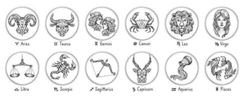 Tierkreis Zeichen. skizzieren Krebs, Skorpion und Fische. Hand gezeichnet Stier, Jungfrau und Steinbock. Widder, Löwe und Schütze. Zwillinge, Waage und Wassermann Horoskop Vektor Abbildungen