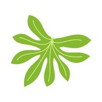 tropisch Blätter und abstrakt exotisch Pflanze Vektor Design Elemente auf das Weiß Hintergrund. eben Design Urwald Blätter. Natur Pflanze tropisch Blätter