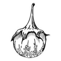 hand dragen bläck vektor äggplanta kalebass squash. skiss illustration konst för tacksägelse, halloween, skörda, jordbruk. isolerat objekt, översikt. design för restaurang meny skriva ut Kafé, hemsida, inbjudan