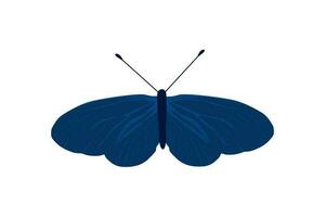 Schmetterling Blau Flügel Insekt Illustration Vektor