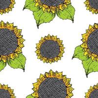 Handgezeichnete Skizze, Hintergrund, Typografie-Designvektorillustration des nahtlosen Musters der Sonnenblume vektor