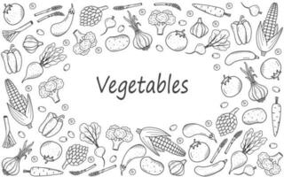 samling av teckning grönsaker i klotter stil. en uppsättning av vektor illustrationer av de skörda majs potatisar morötter rädisor betor vitlök lök tomater, etc.