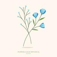 Blau Blume und Blatt botanisch Illustration. vektor