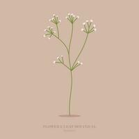 Blume und Gras botanisch Illustration. vektor