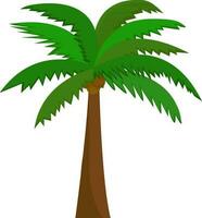 Vektor Illustration von Kokosnuss Baum.