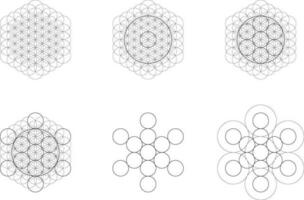 uppsättning av geometrisk element och former. helig geometri blomma av liv och metatroner kub övergång. vektor mönster