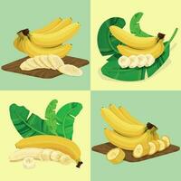 tropisk banan tjänande kompositioner vektor