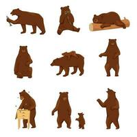 brun grizzly björnar uppsättning vektor