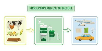 Biotreibstoff Produktion Infografiken vektor