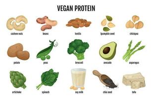 vegan Protein Essen einstellen vektor