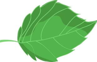 vektor illustration av grön löv.