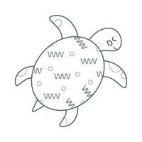 Schildkröte, Meer Tier. ein Einwohner von das Meer Welt, ein süß unter Wasser Kreatur. Linie Kunst. vektor